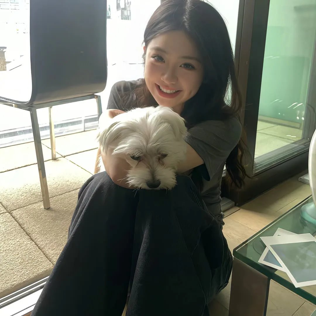 翱翔于天际的夜鹰